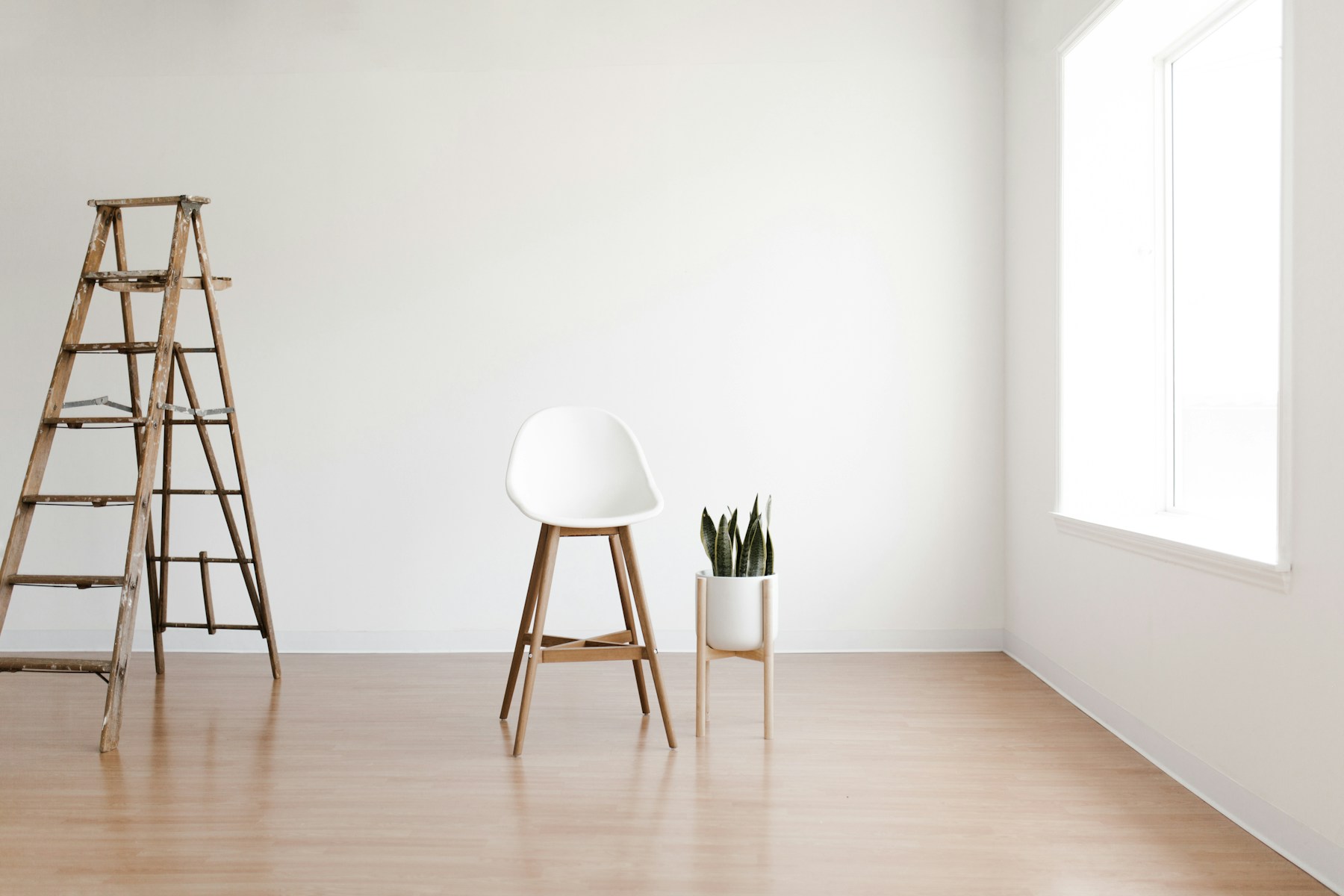 A stool, a ladder and a plant in an empty, light-filled room